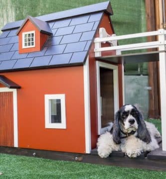 Free dog house plan